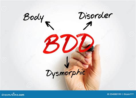 bdd 意思